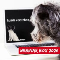 NEU webinar box 2026