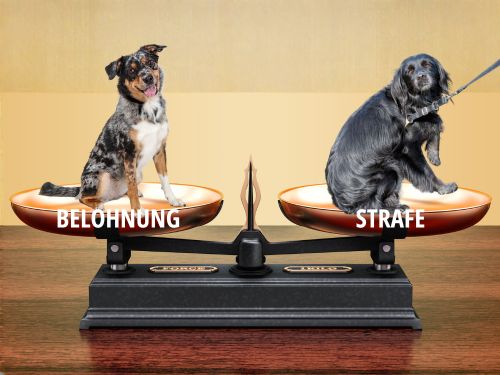 balanced training